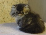 This little girl lives in West Virginia