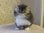 This little boy lives in Maryland